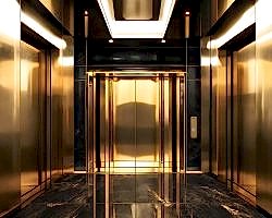 goldlift2 copy