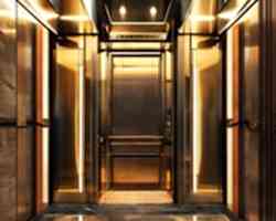 goldlift4 copy